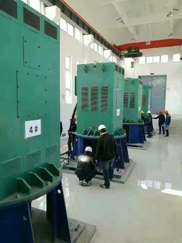 江安某污水处理厂使用我厂的立式高压电机安装现场